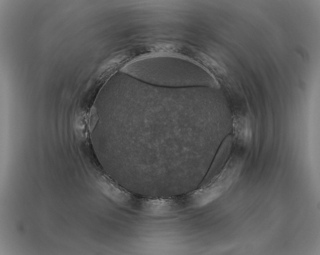 X0000113940237200909251247