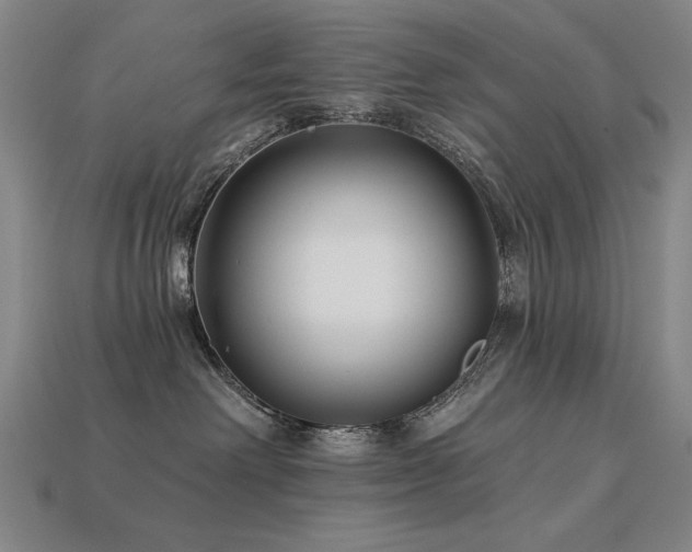 X0000113940238200909251247