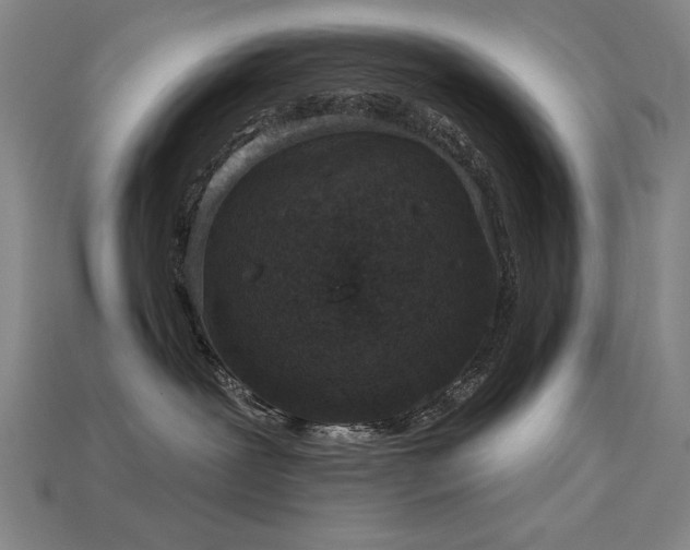 X0000113940239200909251247