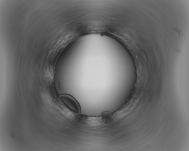 X0000113940240200909251247