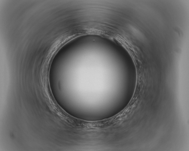 X0000113940241200909251246