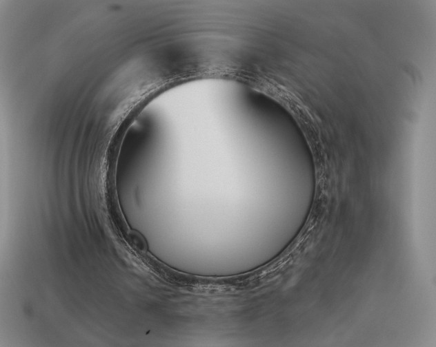 X0000113940242200909251246