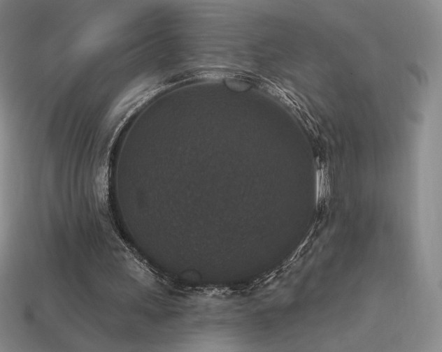 X0000113940243200909251246