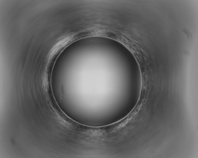 X0000113940245200909251246