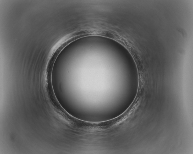 X0000113940246200909251246