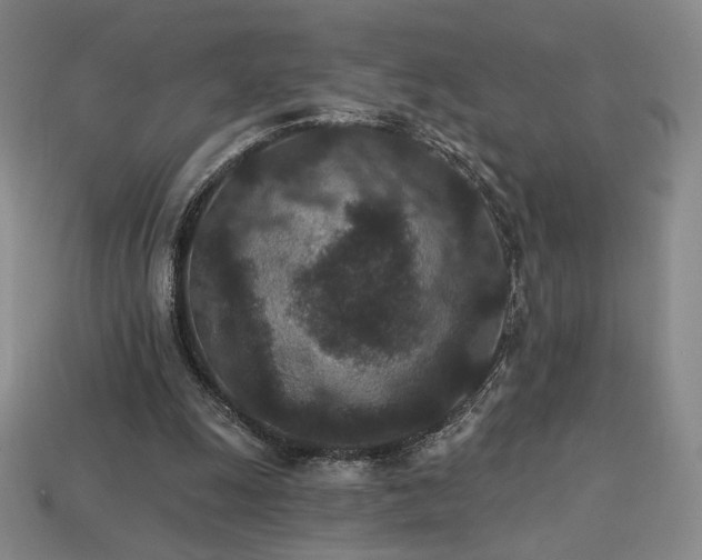 X0000113940247200909251246