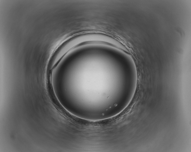 X0000113940248200909251246