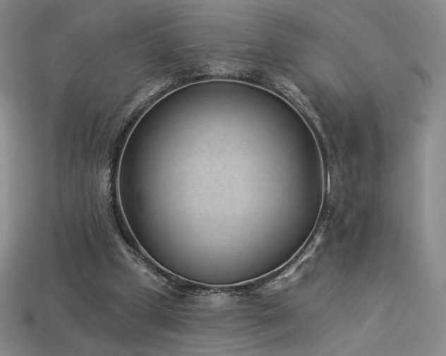 X0000113940249200909251246