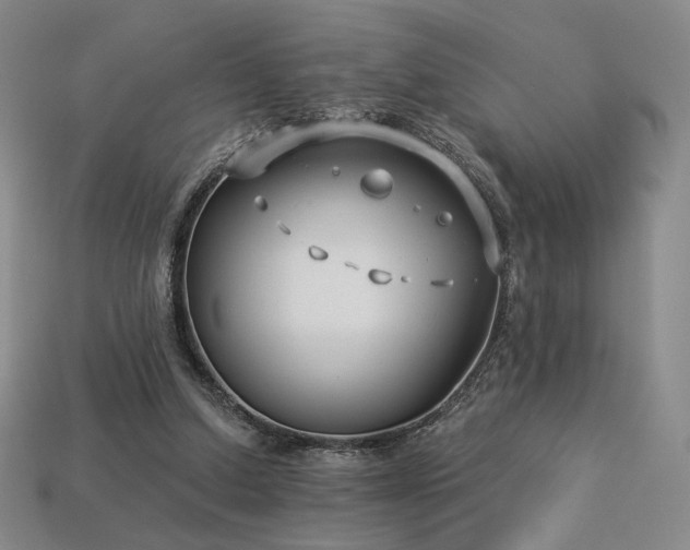 X0000113940250200909251246