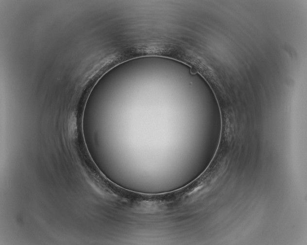 X0000113940251200909251246