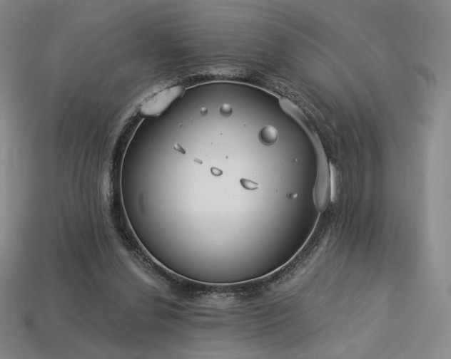 X0000113940252200909251246