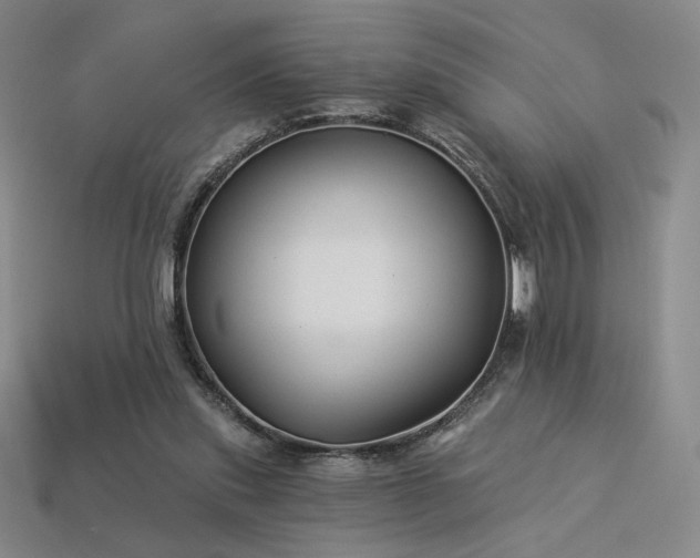 X0000113940253200909251246