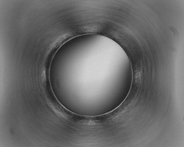 X0000113940254200909251246