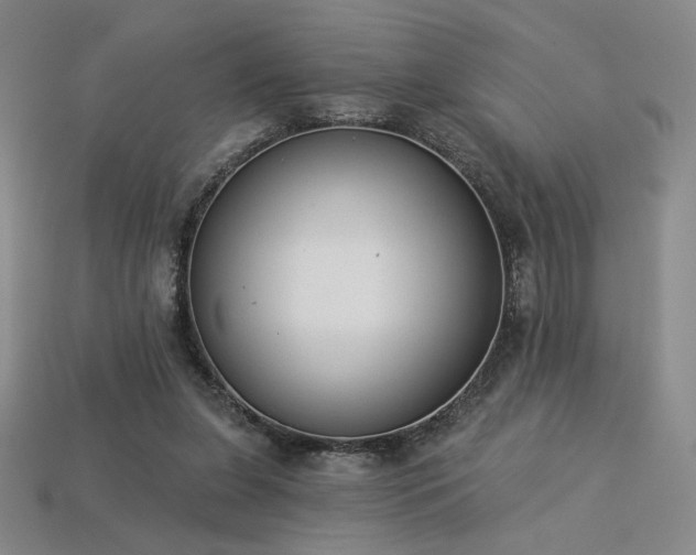 X0000113940255200909251246