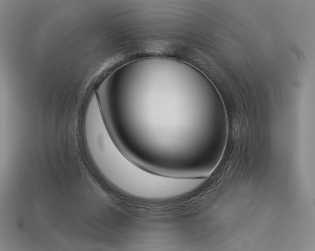 X0000113940256200909251246