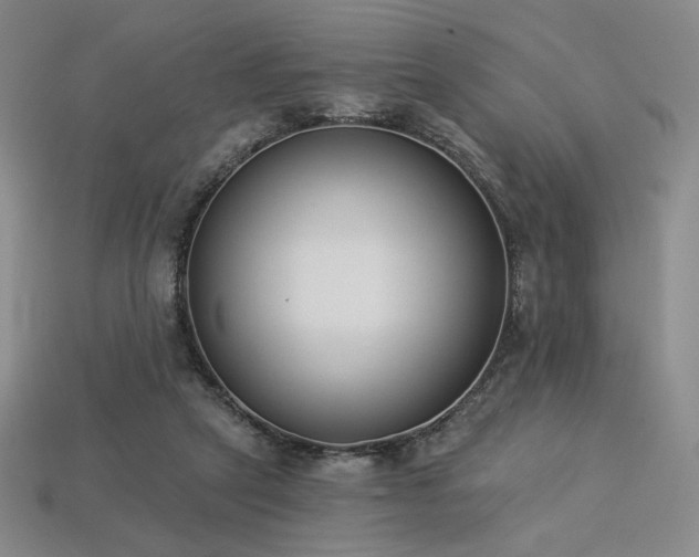 X0000113940257200909251246