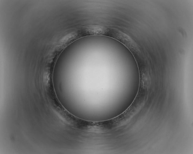 X0000113940259200909251246