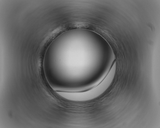 X0000113940260200909251246