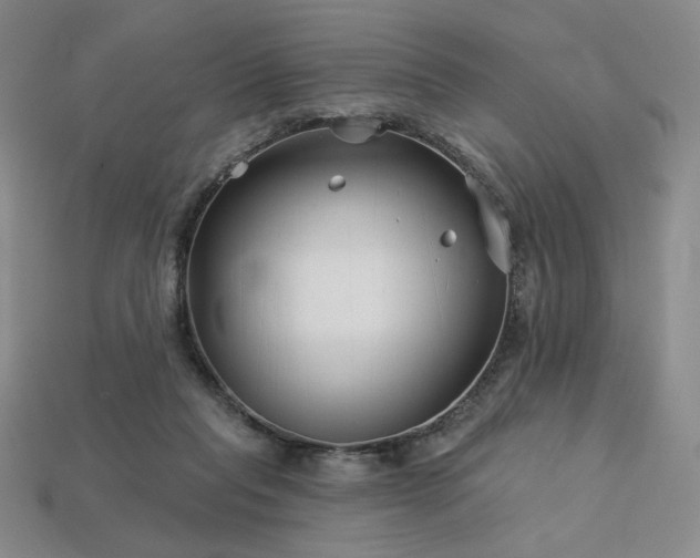 X0000113940261200909251246