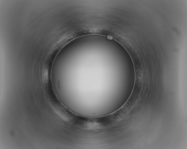 X0000113940262200909251246