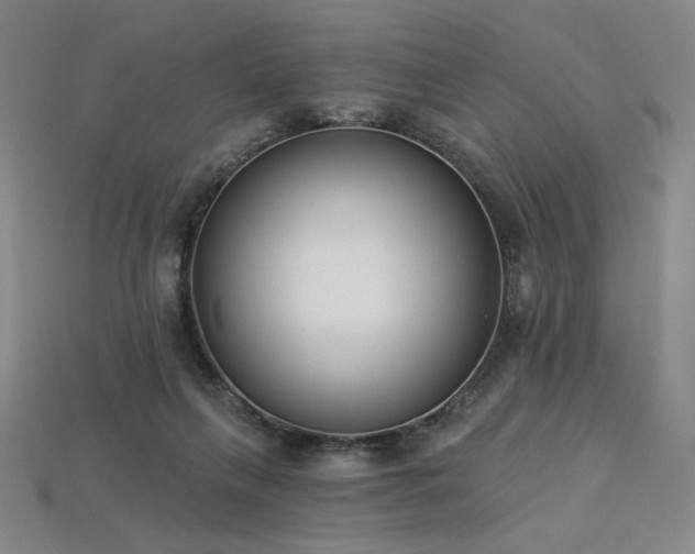 X0000113940263200909251246