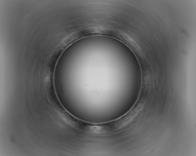 X0000113940265200909251246