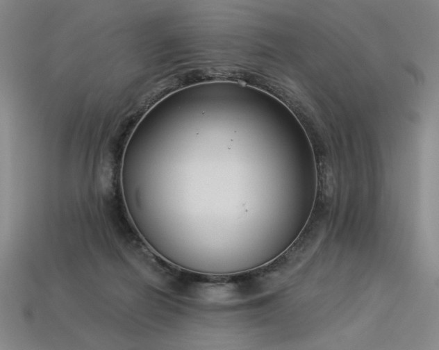 X0000113940266200909251246