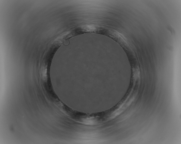 X0000113940267200909251246