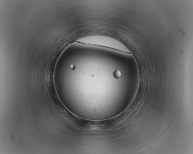 X0000113940268200909251246