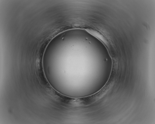 X0000113940269200909251246