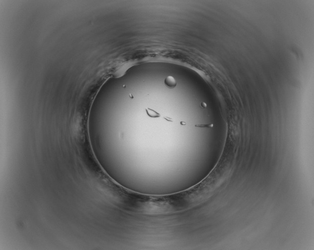 X0000113940270200909251246