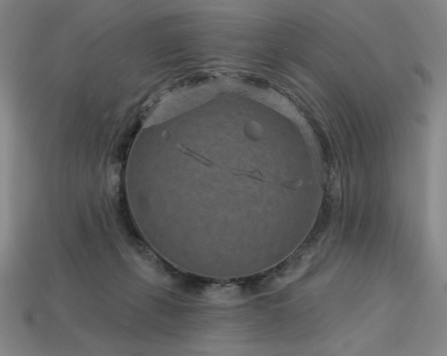 X0000113940271200909251246