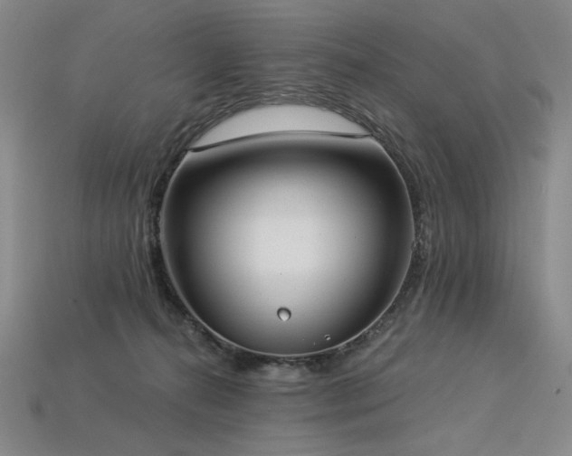 X0000113940272200909251246