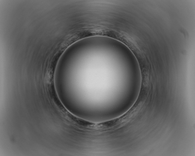 X0000113940273200909251246