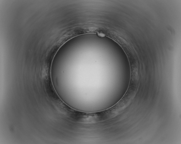 X0000113940274200909251246