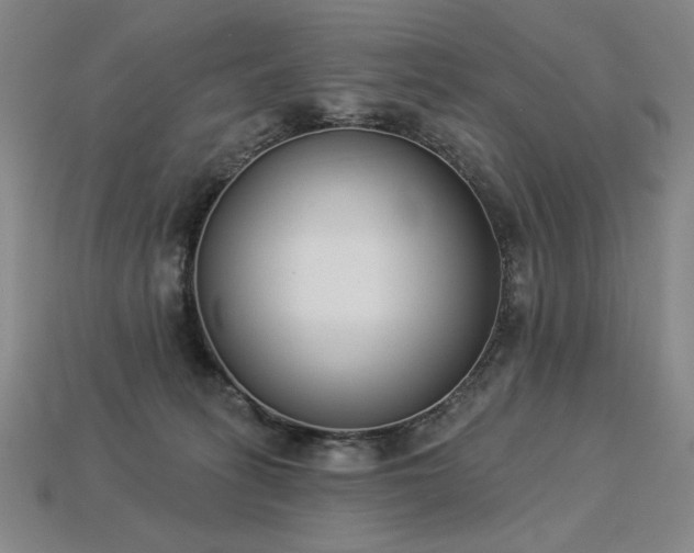 X0000113940275200909251246