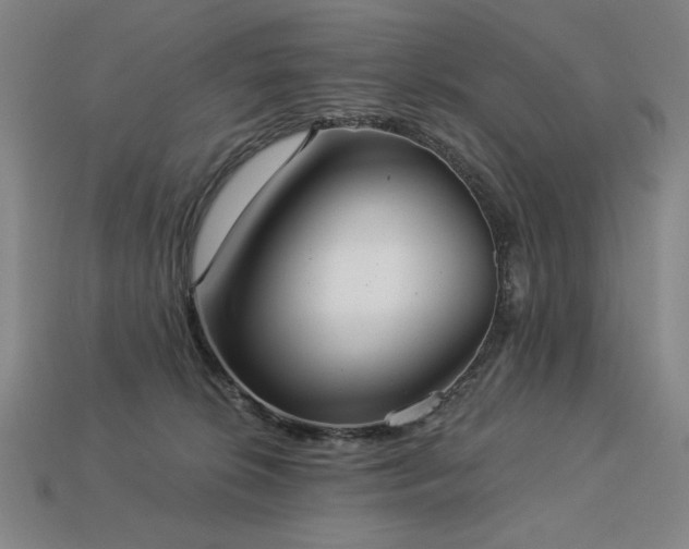 X0000113940276200909251246