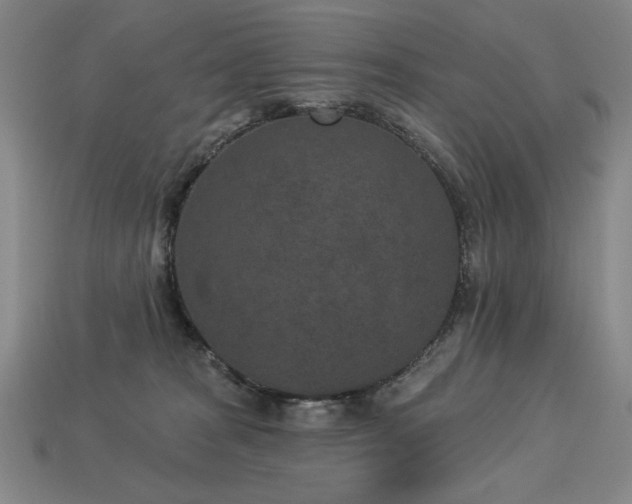 X0000113940277200909251246