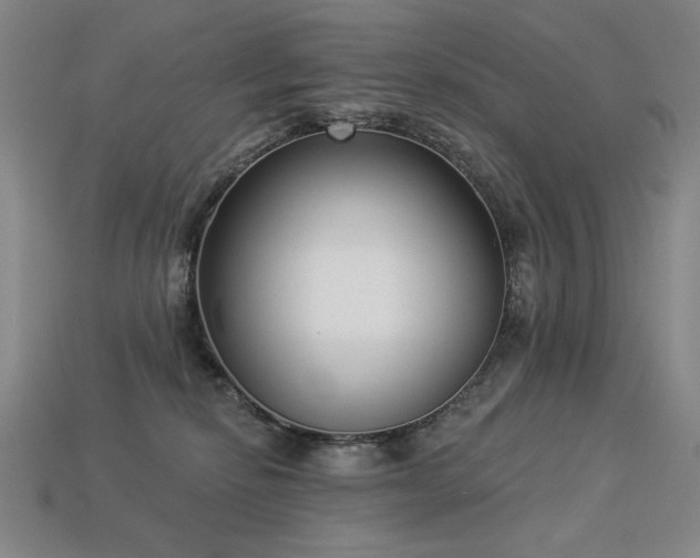 X0000113940278200909251246