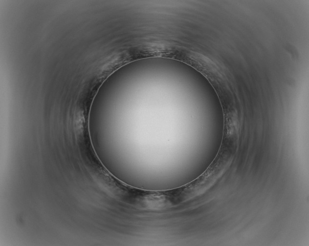 X0000113940279200909251246