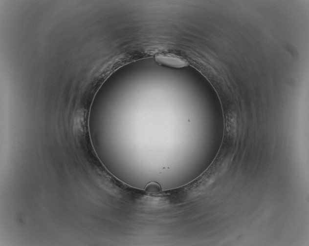 X0000113940280200909251246