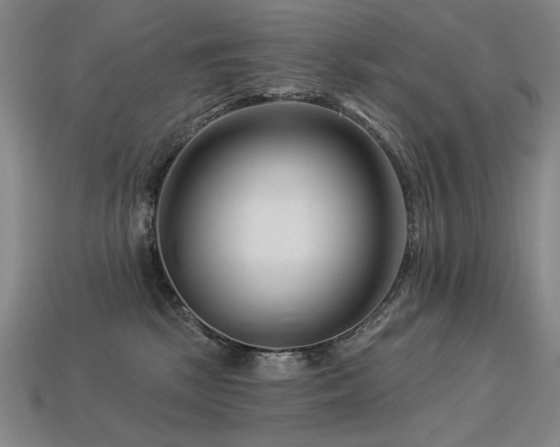 X0000113940281200909251247