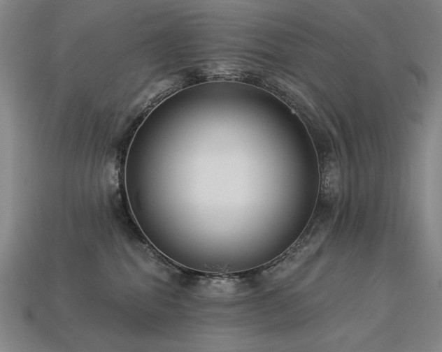 X0000113940282200909251247