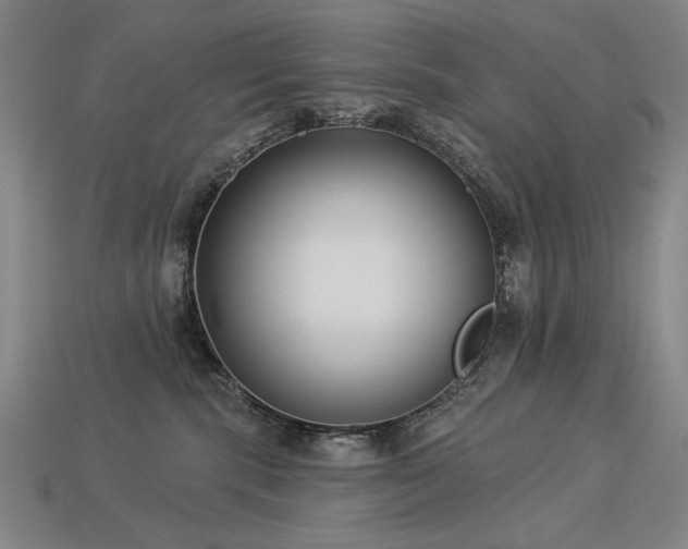 X0000113940283200909251247