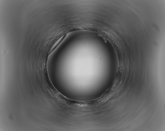 X0000113940284200909251247