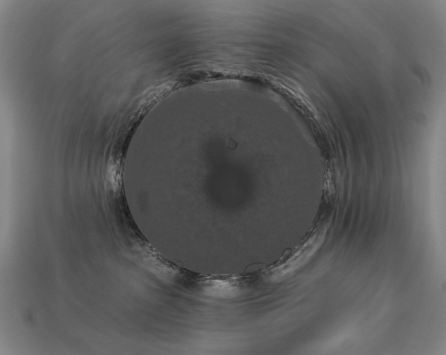 X0000113940285200909251247