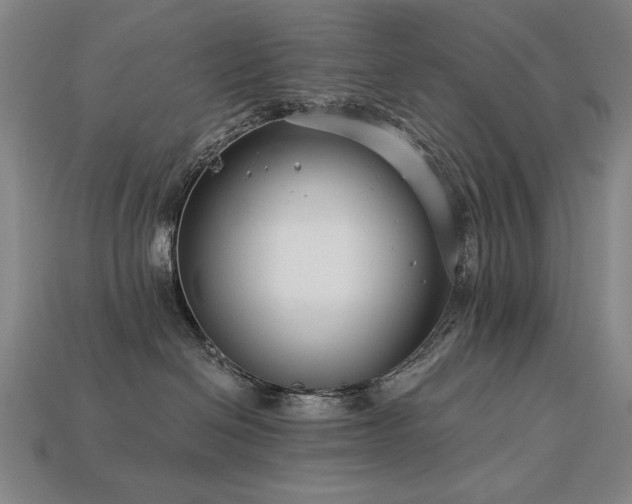 X0000113940286200909251247