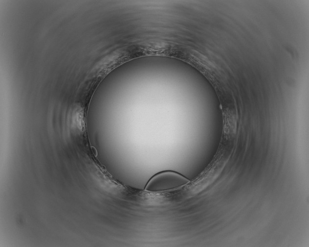 X0000113940287200909251247