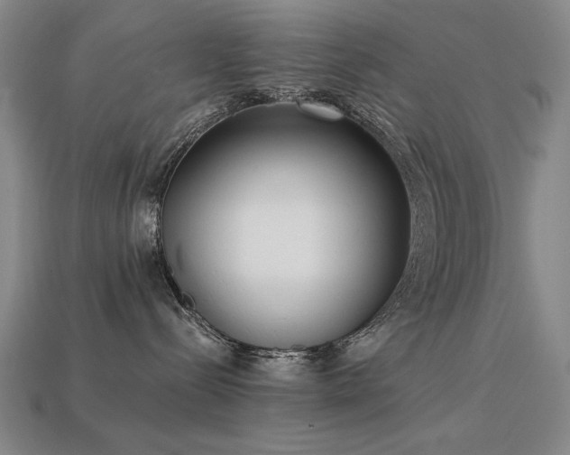 X0000113940288200909251247