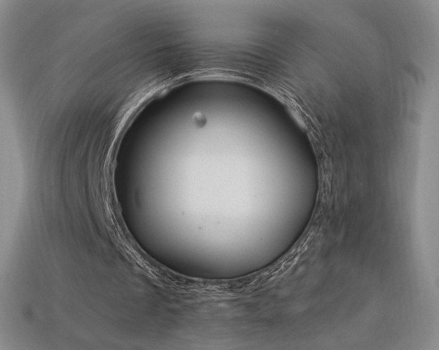 X0000113940289200909251246